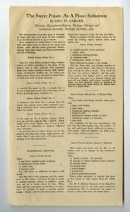 The Sweet Potato as a Flour Substitute, 1915 by George Washington Carver